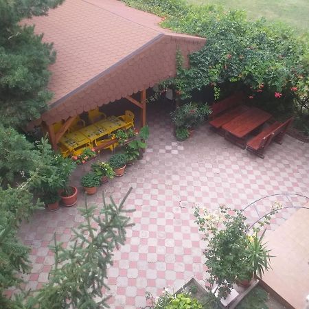 Pensiunea Paradis Vrancean Cotesti  Zewnętrze zdjęcie