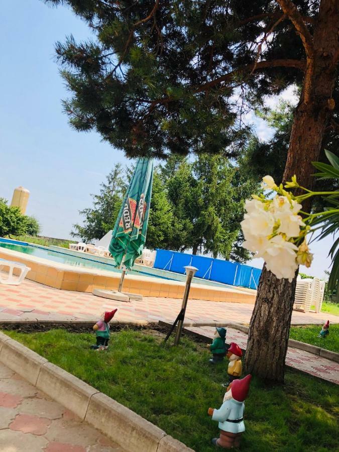 Pensiunea Paradis Vrancean Cotesti  Zewnętrze zdjęcie